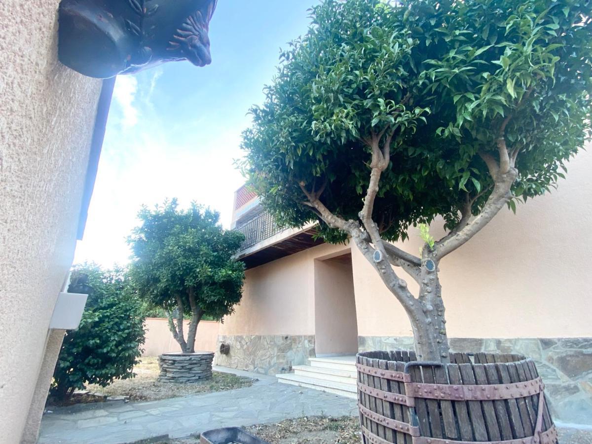 L'Artmonie - Climatise - Jardin - Centre-Ville - Plage Perpignan Eksteriør billede